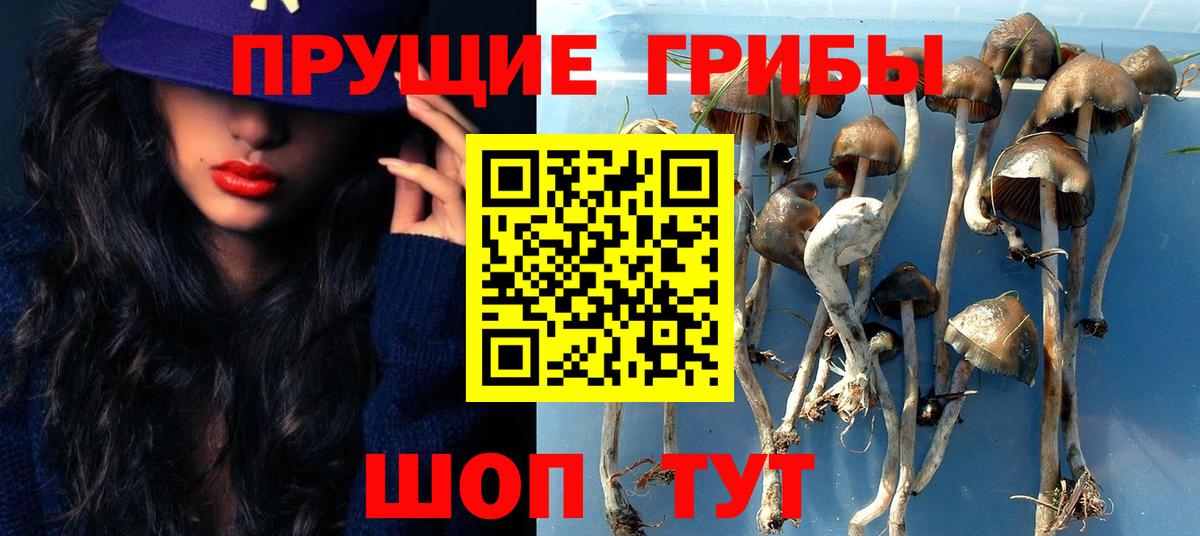 Псилоцибиновые грибы Psilocybine cubensis Лянтор