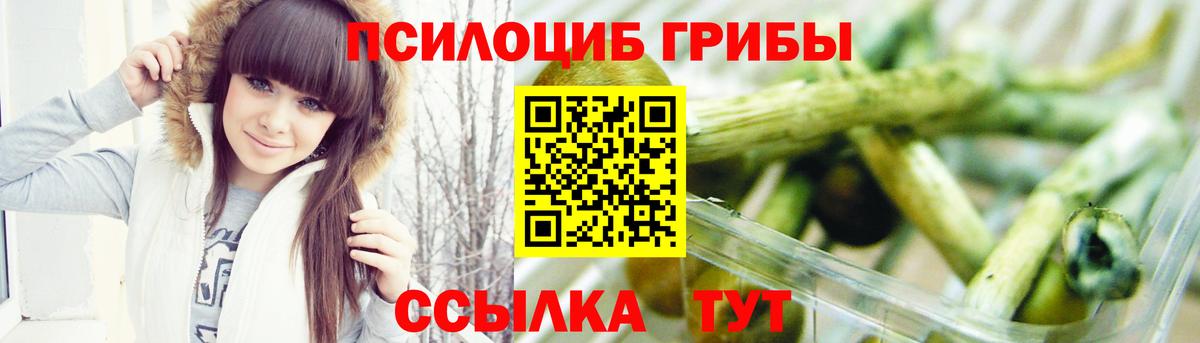 Псилоцибиновые грибы Cubensis  Галлюциногенные грибы Cubensis  Лянтор  Вход с VPN 